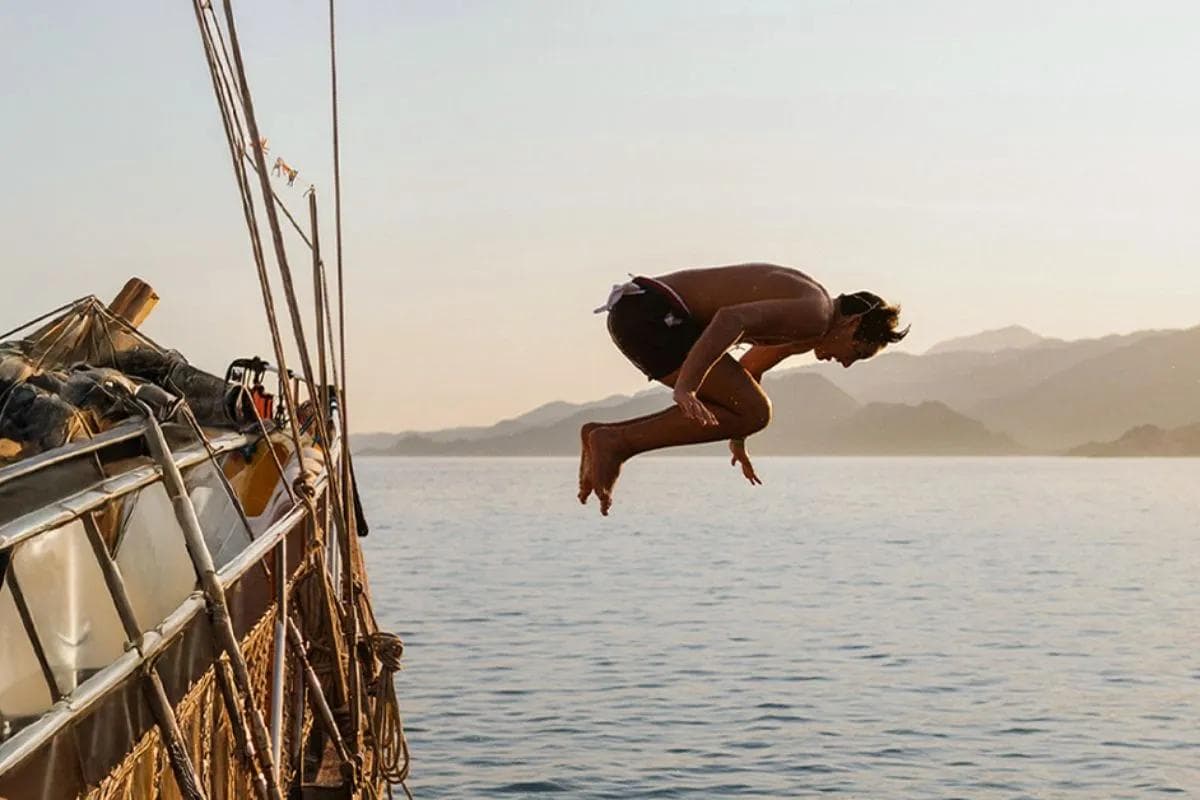 IATI Travel Days (Estate)