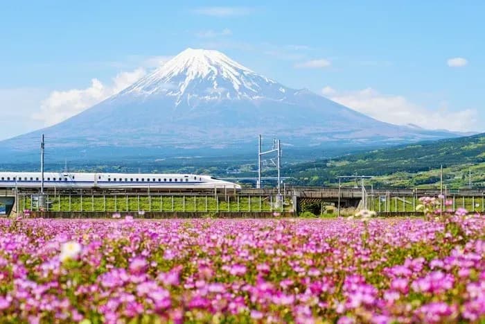 Assicurazione di viaggio per il Giappone