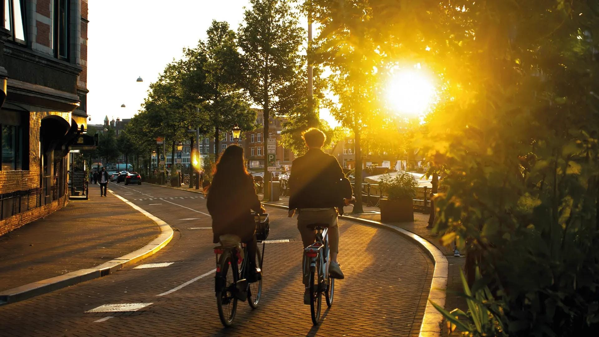 Due ciclisti sulla strada