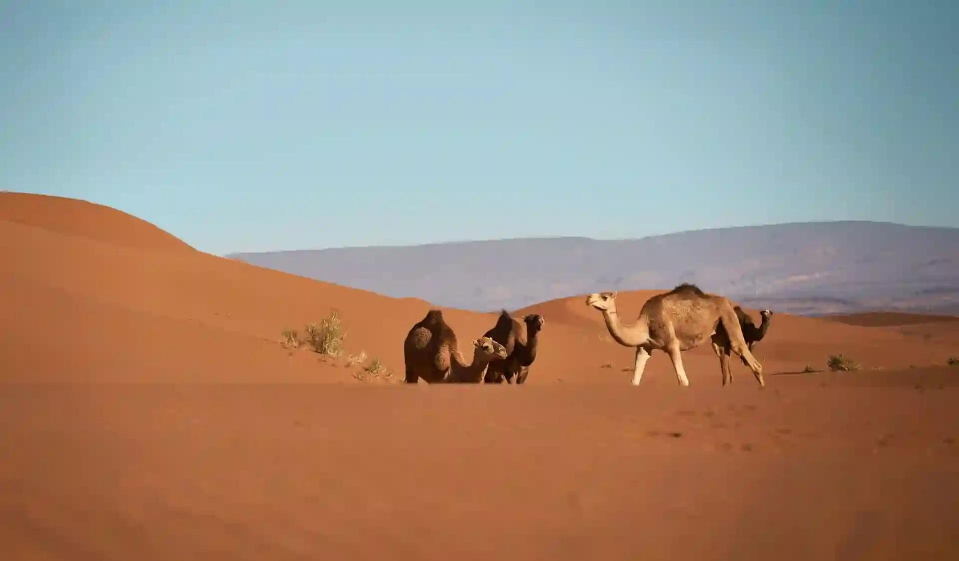 Assicurazione di viaggio per il Marocco